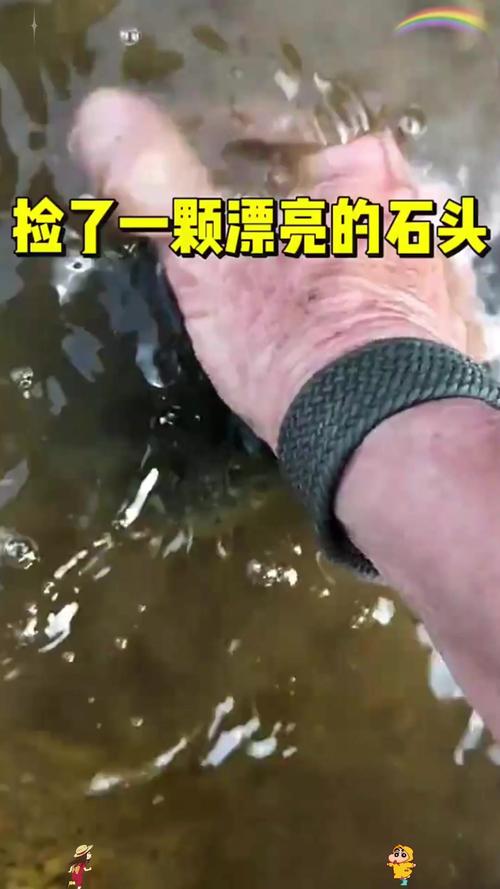 这里的砾石是宝贝,一颗也不能捡