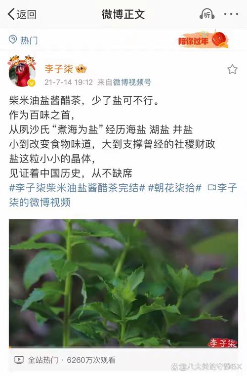 李子柒归来即顶流的密码