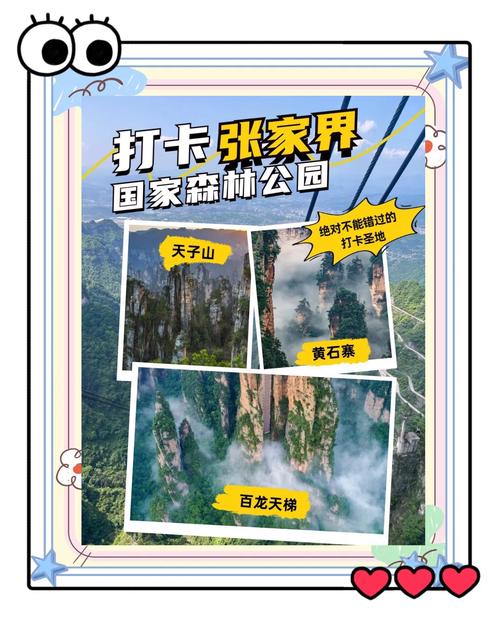 新春走基层|张家界国家森林公园:为游客送上姜茶,护航景区安全