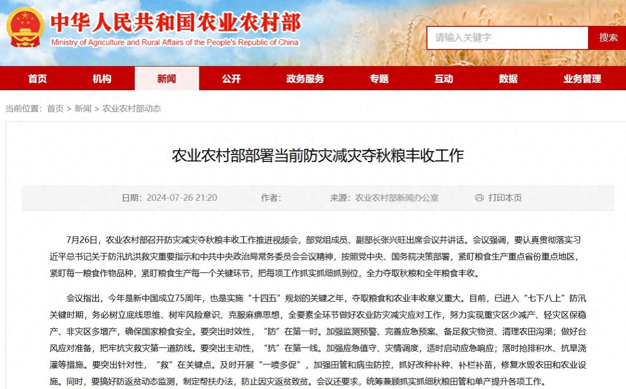 农业农村部部署加强田间管理等 多措并举保障秋粮丰收