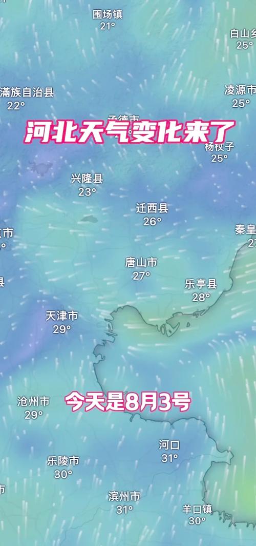 河北省安平县发布暴雨黄色预警