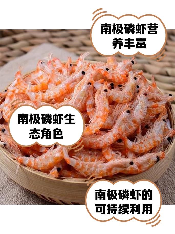 蛋白质含量远超牛肉 小小的南极磷虾潜力巨大?