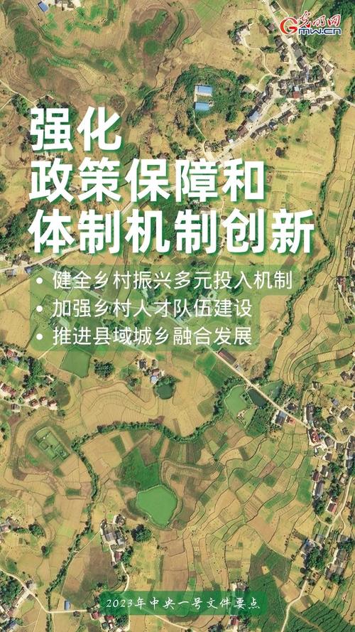 中央一号文件敲定推进乡村全面振兴工作重点