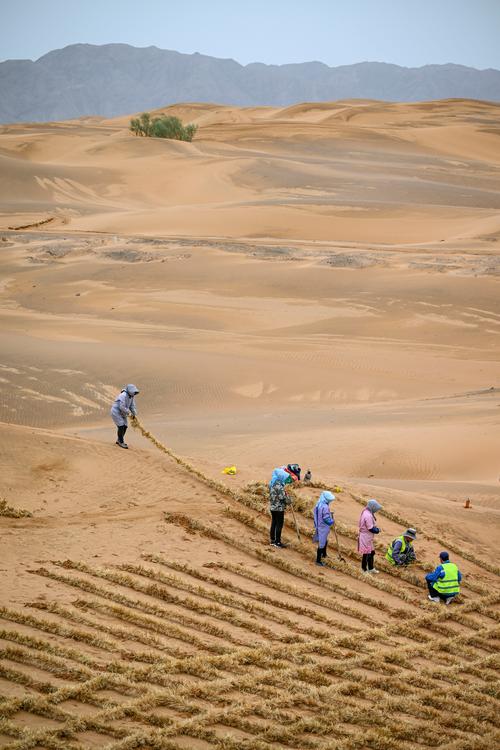 我国十余年间治理沙化土地超3亿亩