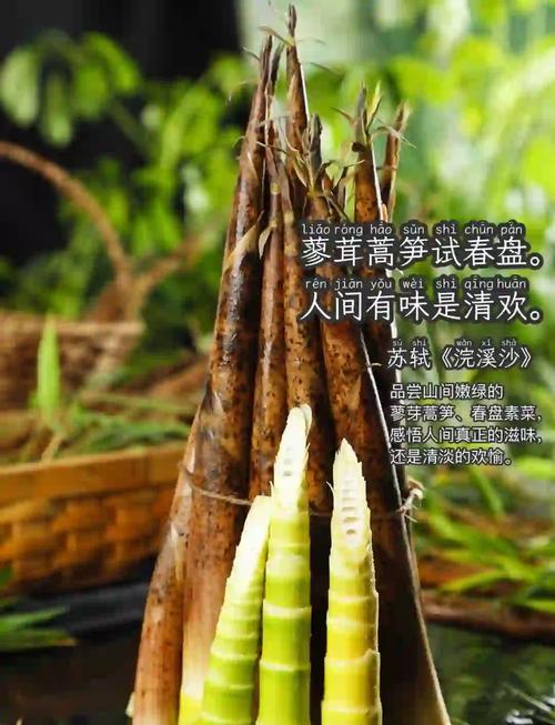博物东坡·果蔬丨东坡盘中果蔬:人间有味是清欢