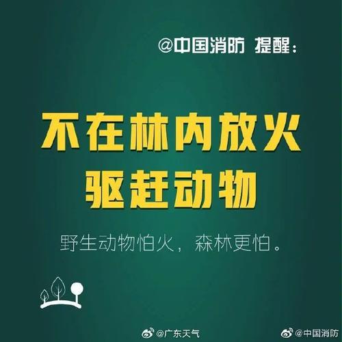 广东省惠东县发布森林火险黄色预警_1
