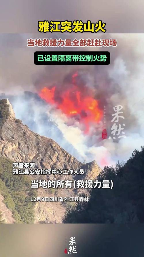 受四川雅江山火影响 沿线高速公路开启261条抢险救援绿色通道