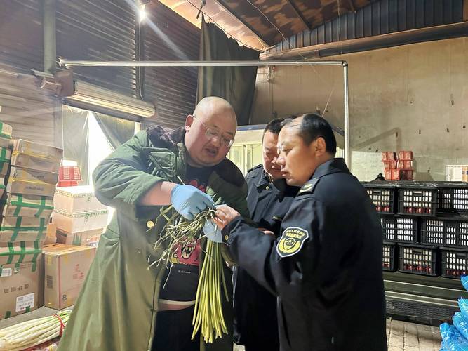 新措施保供稳价!国庆假期“米袋子”“油瓶子”“菜篮子”有保障