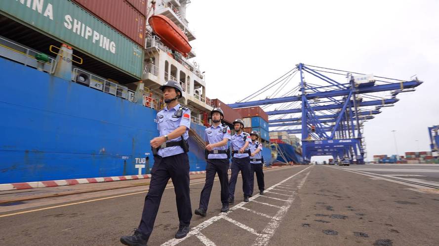 再创新高!洋浦边检站高效办检助力洋浦口岸港澳小型船舶集装箱船出入境数量实现新突破