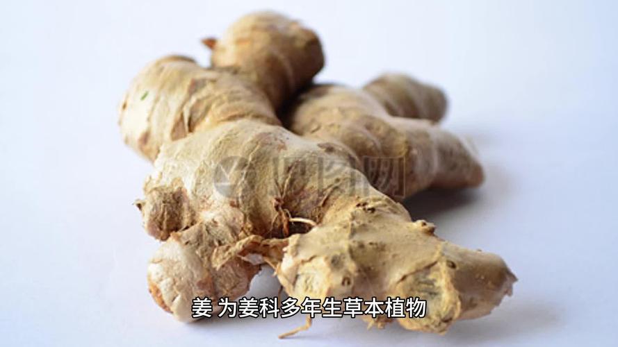 冬日食姜,温阳暖胃