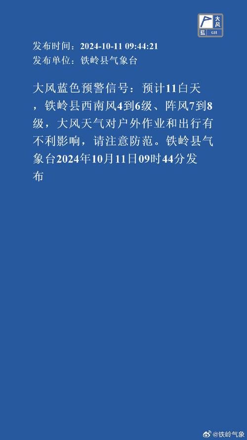 辽宁省新民市发布大风蓝色预警_3