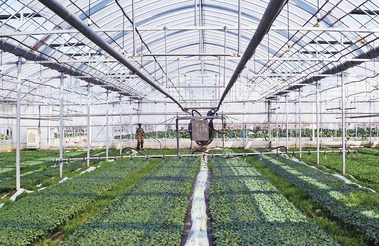 我国将启动草种繁育示范基地建设