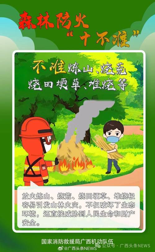 陇南康县山火已扑灭 有关责任人员已被控制