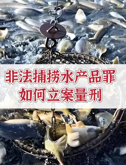 非法捕捞水产品“害鱼又害己”