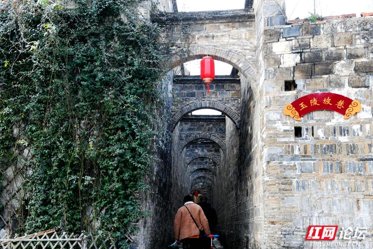 湖南益阳明清古巷开街迎客
