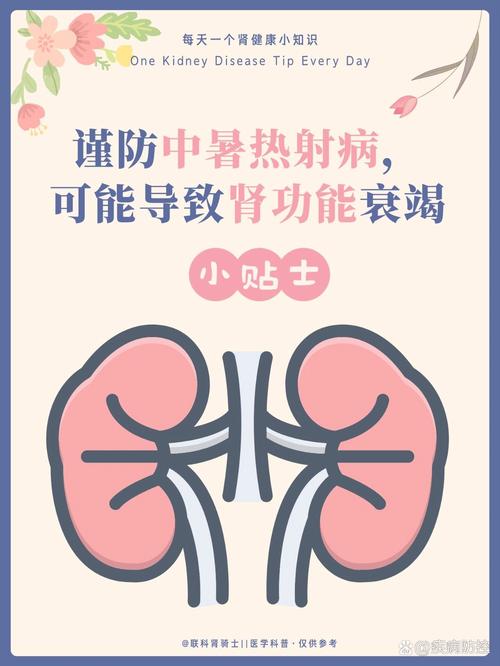 热到肾衰竭!杭州一医院半月接收15例因中暑导致肾脏损伤患者!