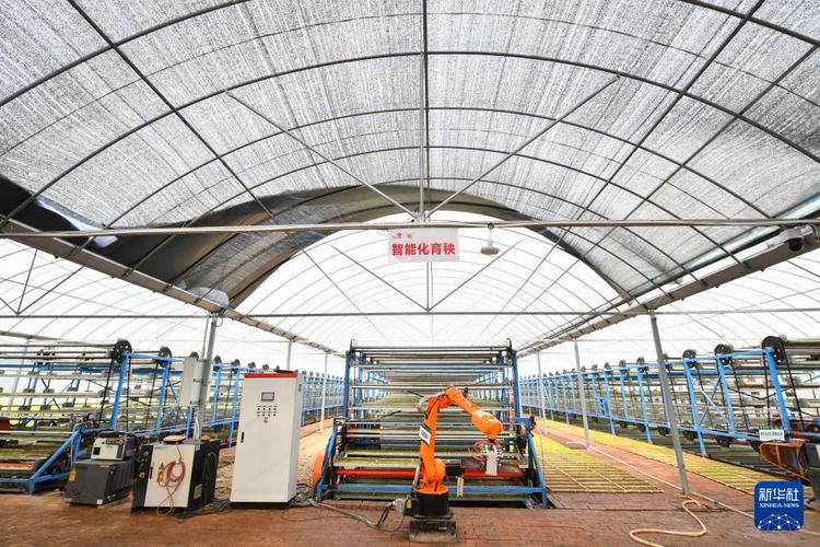 智能化育秧助跑福建永定春耕生产