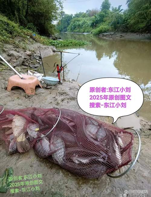 杭州男子钓到神秘生物!一夜暴富?网友炸锅!
