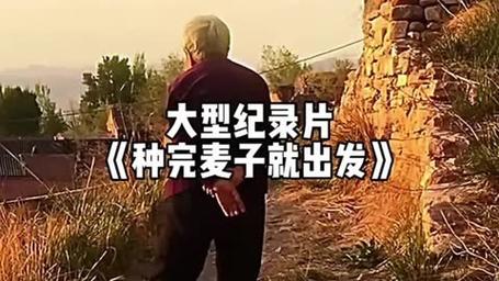 种完麦子去版纳