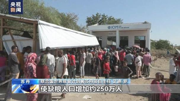 联合国难民署:对苏丹难民的援助计划扩展至非洲7个国家