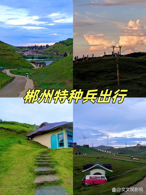郴州:60亿只“虫虫特工”保卫田园